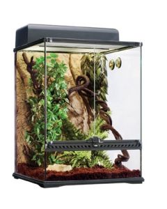 HABITAT KIT RAINFOREST  MEDIUM